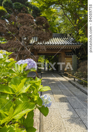 Kamakura Rikunji Tower 84089758