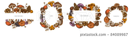 Frames with colored oyster mushroom, champignon, honey agaric, shiitake, porcini, morel mushroom Frames with colored oyster mushroom, champignon, honey agaric, shiitake, porcini, morel mushroom 84089987
