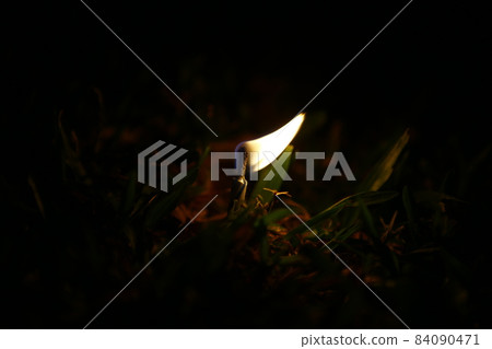 candlelight candlelight 84090471