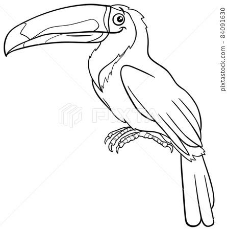 cartoon toucan bird animal character coloring book page cartoon toucan bird animal character coloring book page 84091630