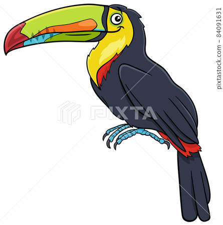 toucan bird animal character cartoon illustration 84091631