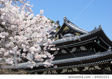 在一個春日 在一個春日 84092022