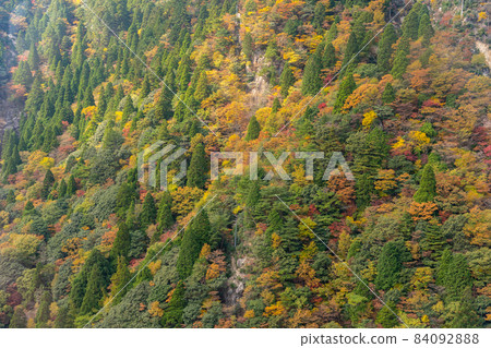 秋天的御在所及周邊景色 84092888