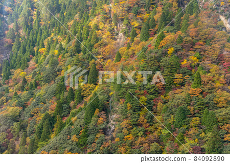 秋天的御在所及周邊景色 84092890