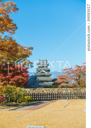 Matsumoto Castle seen from the ruins of Ninomaru Palace [Autumn] 84093017