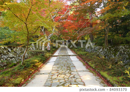Kongorin-ji Temple (Omi Nishikuni 15th Fudasho) / Nishitani-do [Aisyo-cho, Shiga Prefecture] 84093370
