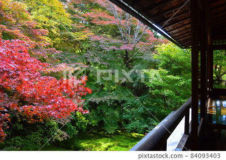The colors of the various autumn leaves of Rurikoin, Kyoto City, which I visited in the middle of the fall of 2021, are fantastic and overwhelming. The colors of the various autumn leaves of Rurikoin, Kyoto City, which I visited in the middle of the fall of 2021, are fantastic and overwhelming. 84093403