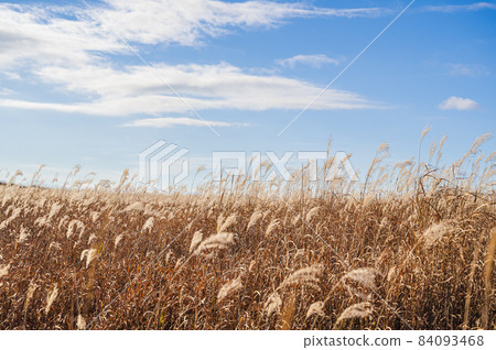 霧峰高原和秋天的藍天 84093468