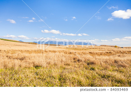 Yatsugatake from Kirigamine Plateau in autumn Yatsugatake from Kirigamine Plateau in autumn 84093469