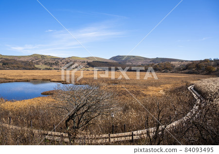 霧峰之秋八島原沼澤 84093495