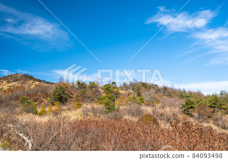 霧峰之秋八島原沼澤 84093498