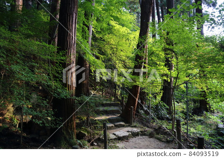 金剛輪寺（近江西國第 15 代） / 庭園 [滋賀縣愛西町] 84093519