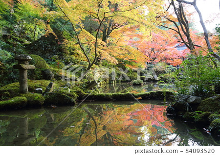 金剛輪寺（近江西國第 15 代） / 庭園 [滋賀縣愛西町] 84093520