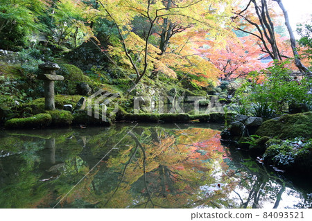 金剛輪寺（近江西國第 15 代） / 庭園 [滋賀縣愛西町] 84093521