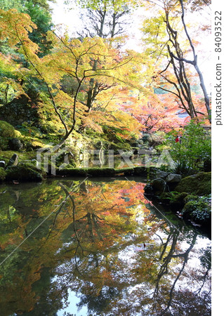 金剛輪寺（近江西國第 15 代） / 庭園 [滋賀縣愛西町] 84093522