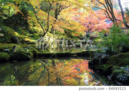 金剛輪寺（近江西國第 15 代） / 庭園 [滋賀縣愛西町] 84093523