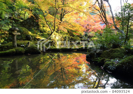 金剛輪寺（近江西國第 15 代） / 庭園 [滋賀縣愛西町] 84093524