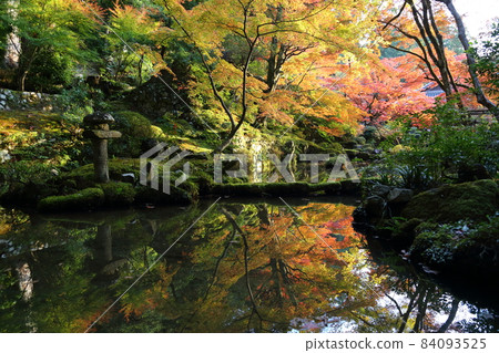 金剛輪寺（近江西國第 15 代） / 庭園 [滋賀縣愛西町] 84093525