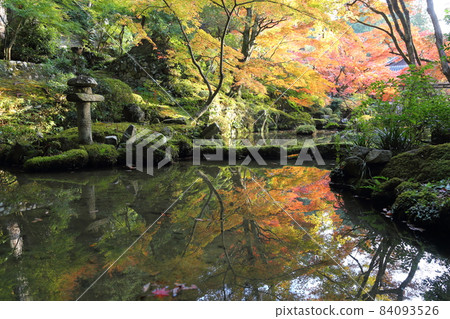 金剛輪寺（近江西國第 15 代） / 庭園 [滋賀縣愛西町] 84093526