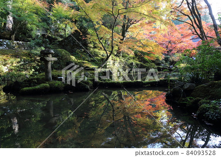 金剛輪寺（近江西國第 15 代） / 庭園 [滋賀縣愛西町] 84093528