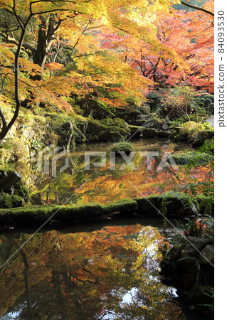 Kongorin-ji Temple (Omi Nishikuni 15th Fudasho) / Garden [Aisyo-cho, Shiga Prefecture] 84093530