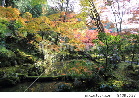 金剛輪寺（近江西國第 15 代） / 庭園 [滋賀縣愛西町] 84093538