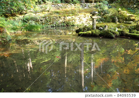 金剛輪寺（近江西國第 15 代） / 庭園 [滋賀縣愛西町] 84093539