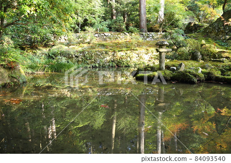 金剛輪寺（近江西國第 15 代） / 庭園 [滋賀縣愛西町] 84093540