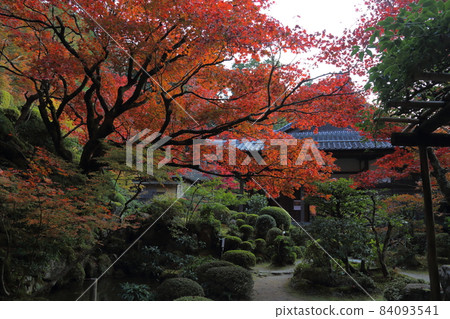 金剛輪寺（近江西國第 15 代） / 庭園 [滋賀縣愛西町] 84093541