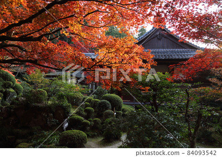 金剛輪寺（近江西國第 15 代） / 庭園 [滋賀縣愛西町] 84093542