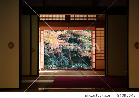 金剛輪寺（近江西國第 15 代） / 庭園 [滋賀縣愛西町] 84093543