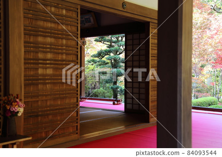 金剛輪寺（近江西國第 15 代） / 庭園 [滋賀縣愛西町] 84093544