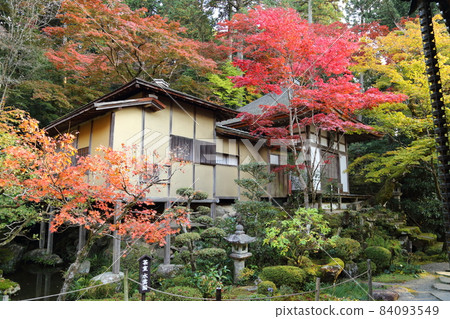 金剛輪寺（近江西國第 15 代） / 庭園 [滋賀縣愛西町] 84093549