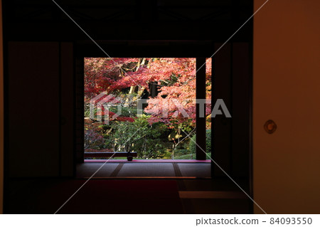 金剛輪寺（近江西國第 15 代） / 庭園 [滋賀縣愛西町] 84093550