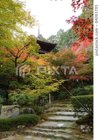 Kongorin-ji Temple (Omi Nishikuni 15th Fudasho) / Mie Tower (Important Cultural Property) [Aisyo Town, Shiga Prefecture] 84093705