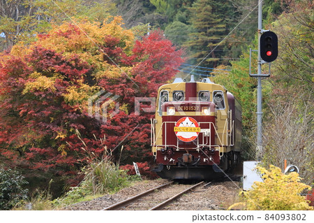 以紅黃秋葉為背景的“Trocco Watarase Valley” 84093802