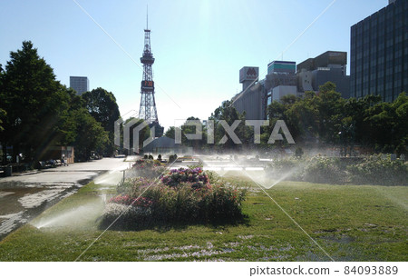 大通公園 / 早晨 84093889
