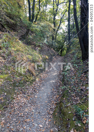 Historic Site Kanayama Castle Ruins Nishiyaguradai Shimohorikiri Historic Site Kanayama Castle Ruins Nishiyaguradai Shimohorikiri 84095353