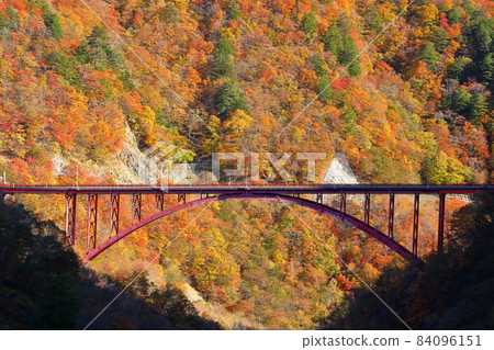 埼玉縣秩父市大瀧 從刈坂橋眺望豆燒橋的秋葉 84096151