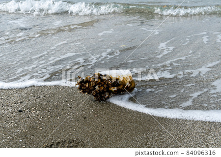 Plastic waste that has flowed to the beach Plastic waste that has flowed to the beach 84096316