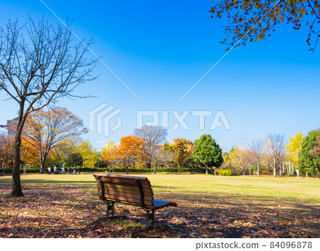 Suburban residential area, autumn sunny park Suburban residential area, autumn sunny park 84096878