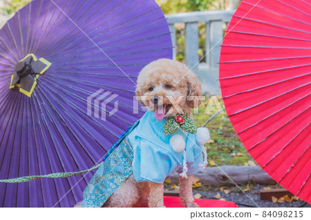Dog and Shichigosan Dog and Shichigosan 84098215