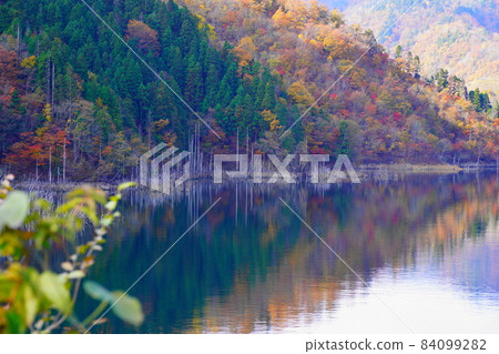 秋天的德山大壩湖本本鄉周圍的秋葉倒影 秋天的德山大壩湖本本鄉周圍的秋葉倒影 84099282