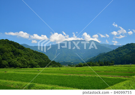 神山八海山（新潟縣） 84099755