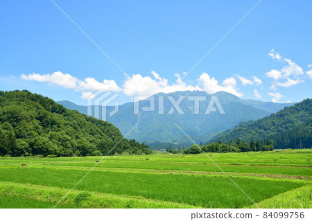 神山八海山(新潟縣) 神山八海山(新潟縣) 84099756