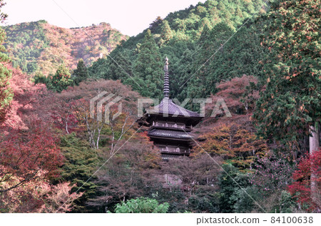 Kogenji Temple and Autumn Leaves Autumn Colors Kogenji Temple and Autumn Leaves Autumn Colors 84100638