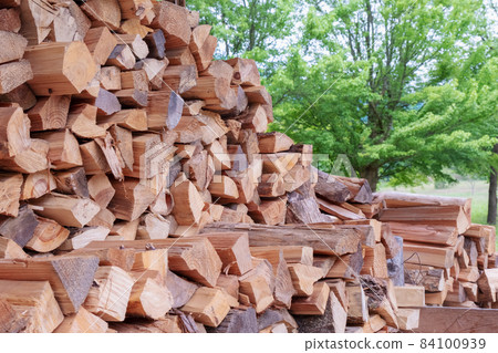 Wood-burning stove Wood-burning biomass 84100939