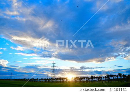 萬願寺哈佐木（新潟縣） 84101181