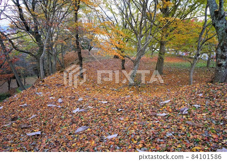 Ruins of Nabekura Castle in autumn colors Ruins of Nabekura Castle in autumn colors 84101586