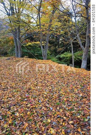 Ruins of Nabekura Castle in autumn colors Ruins of Nabekura Castle in autumn colors 84101588